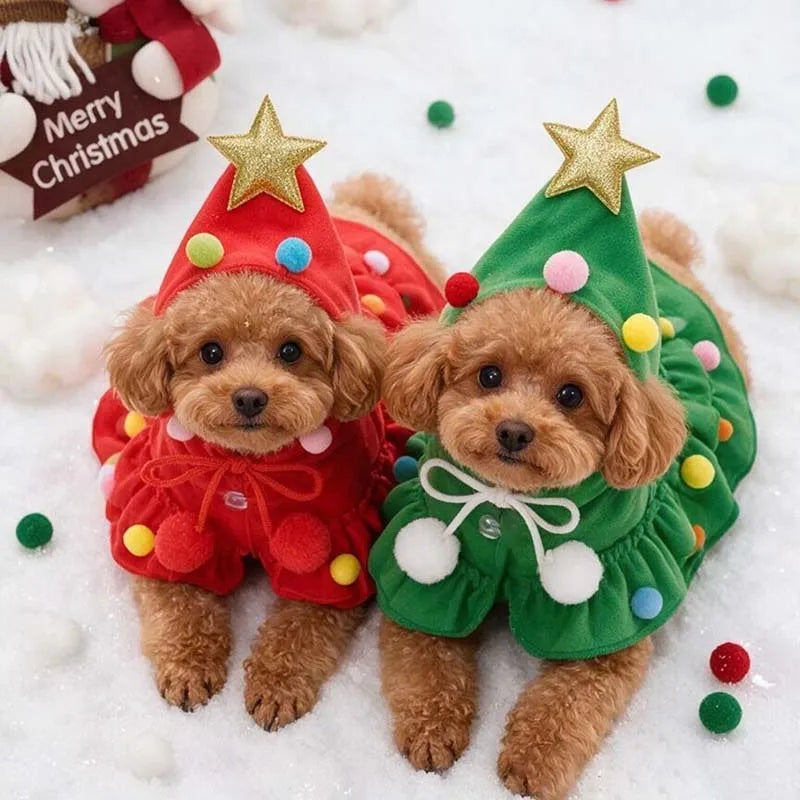 Two puppies in red and green Christmas tree costumes