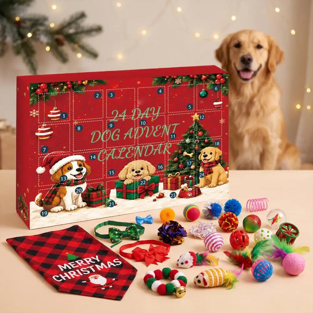 Dog with Christmas advent calendar